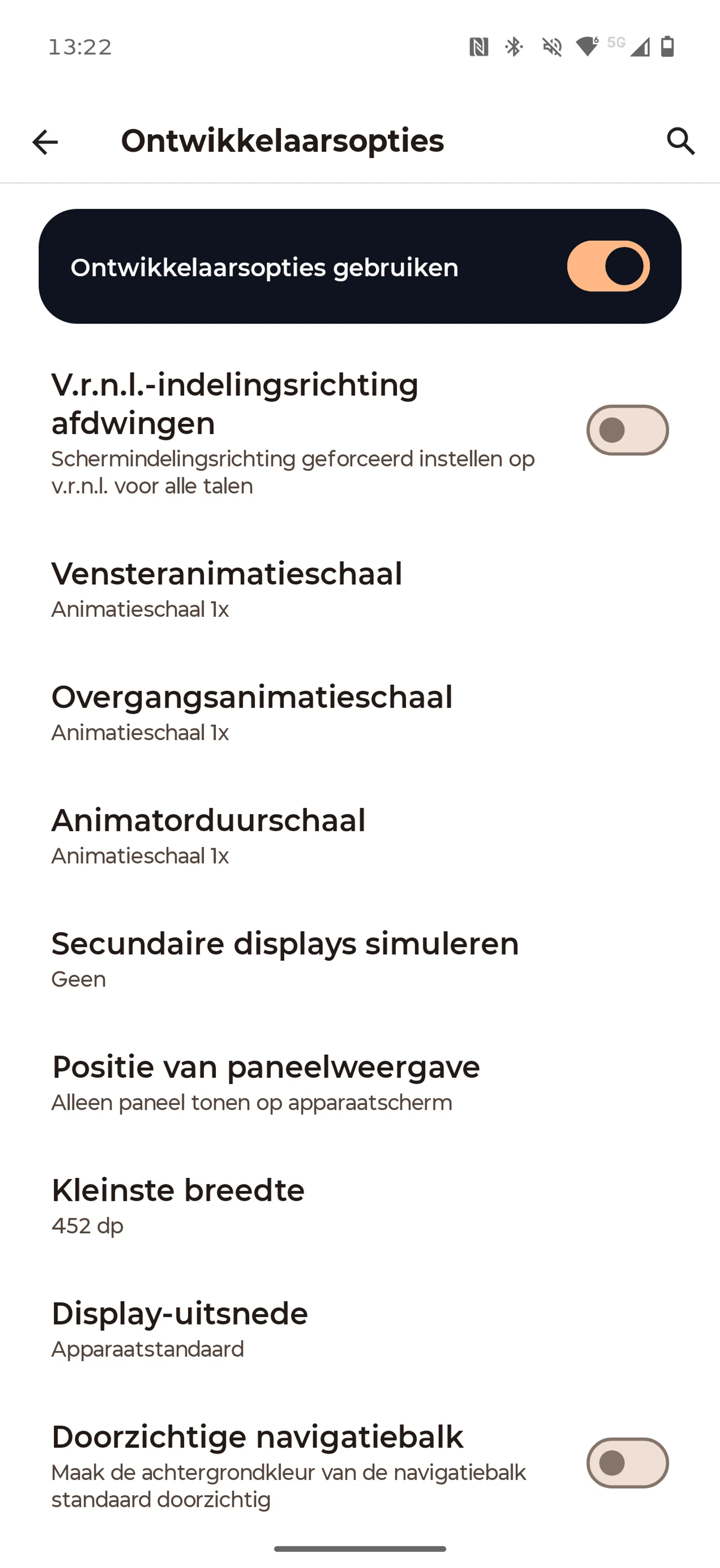 Screenshot ontwikkelaarsinstellingen